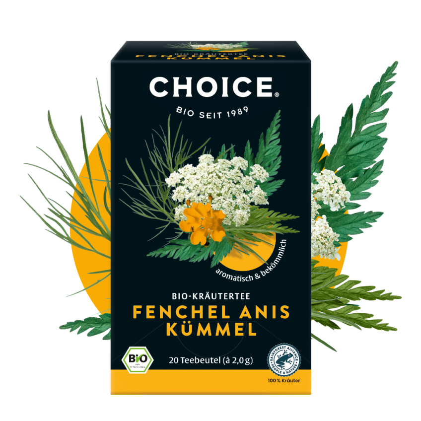 Start - Choice